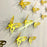 0 Pcs 3d Butterfly Mirror Acrylic Wall Art